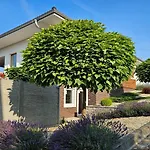 Apartman Lovca דירה