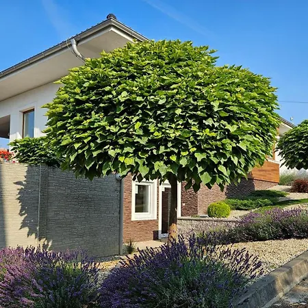 Lovča Apartman